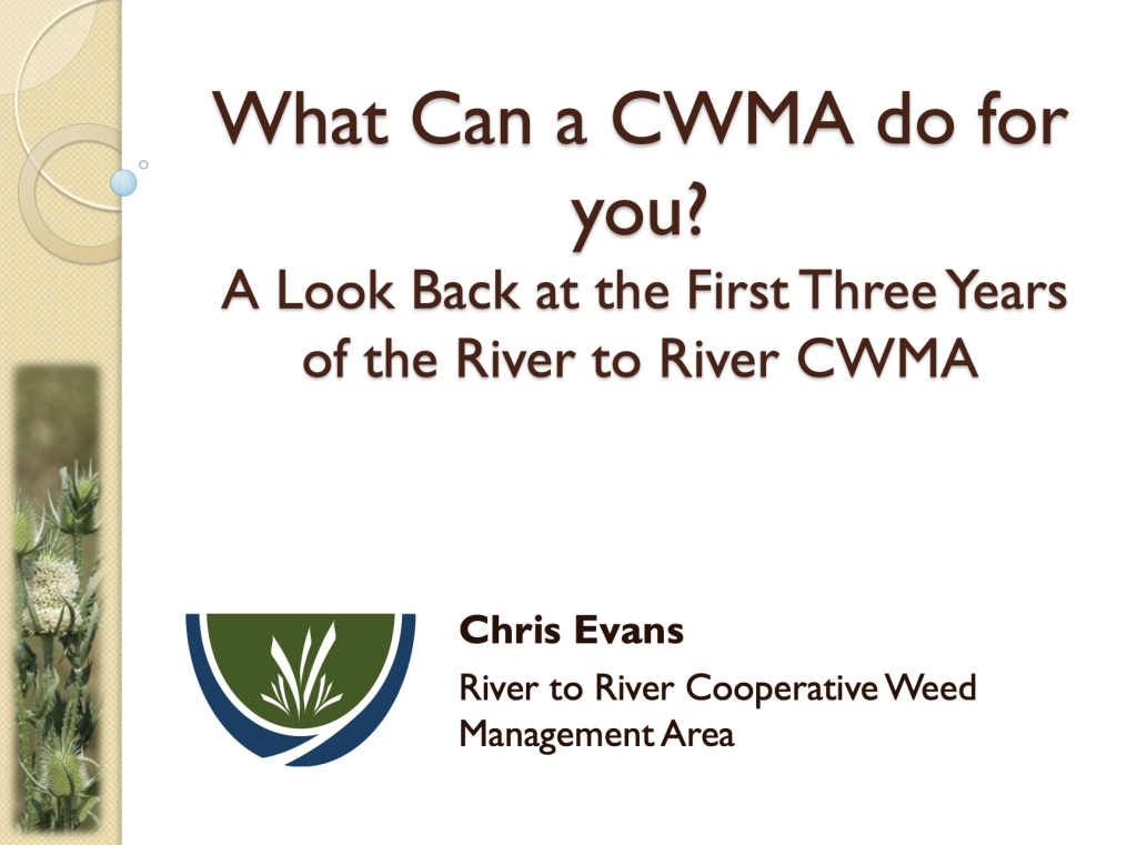What can a CWMA do for you?